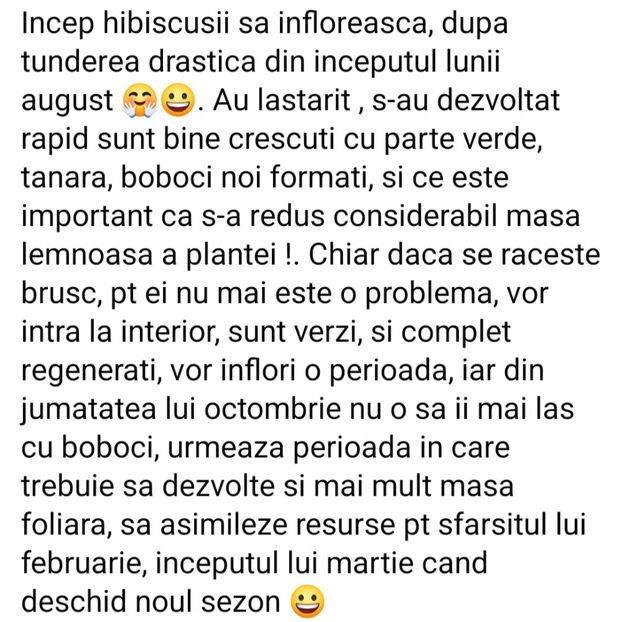 Poza net - A toamna