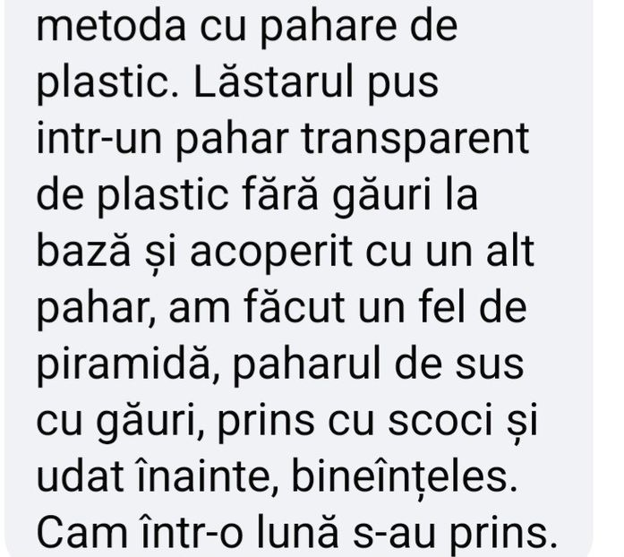  - A inradacinare hibi