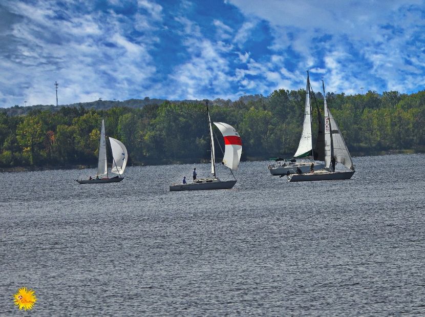 Outauais (Ottawa River) Marina Gatineau 3 - D - CARS - BIKES - BOATS