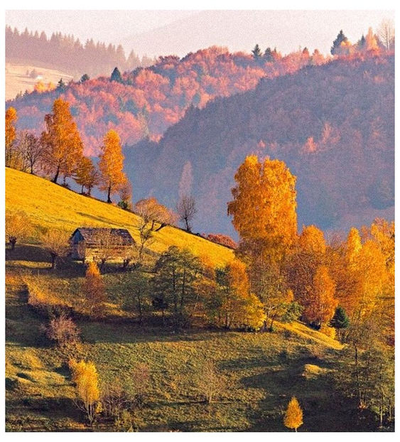 ♡ Oᥴtobᥱr 2 » - Tomnatic și nostalgic
