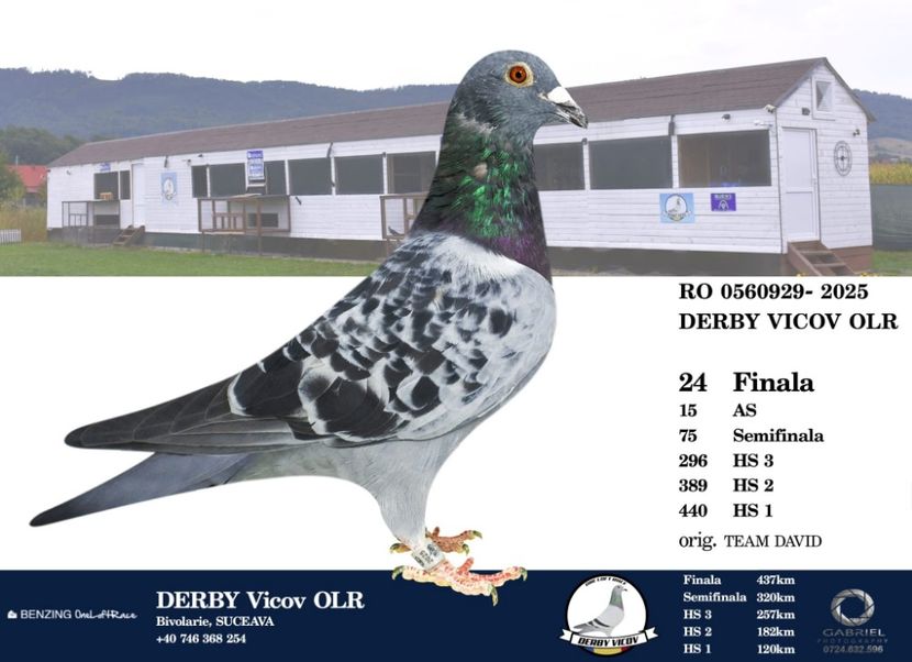 25-560929- loc 24 - Porumbei columbodroame