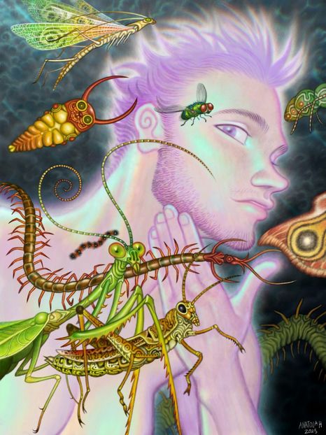 BUG MAN  out 11 NOV pre-order NOW - Collection of Tintypes