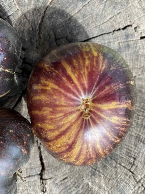  - SEMINTE ROSII - T 852 SOLAR ECLIPSE