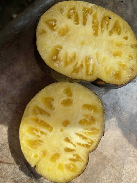  - SEMINTE ROSII - T 852 SOLAR ECLIPSE