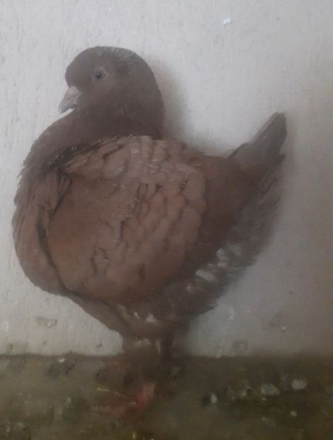 Screenshot_20251005-091806_Gallery - King 2025