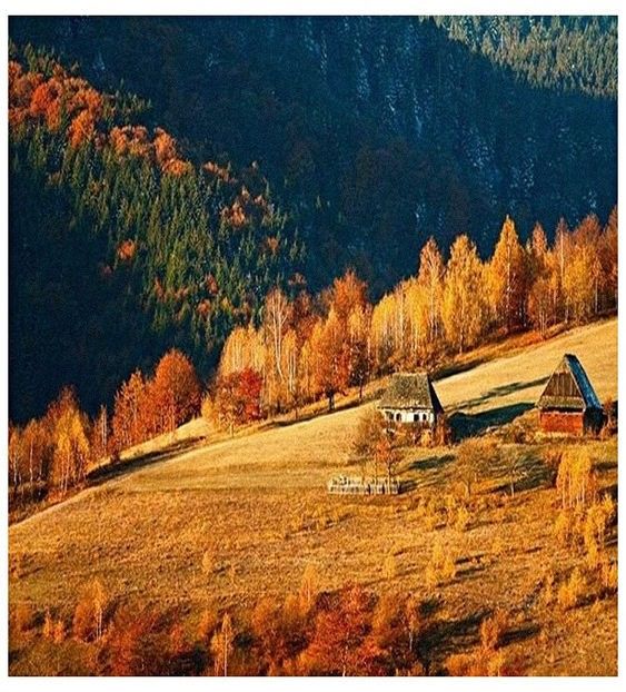 ♡ Oᥴtobᥱr 6 » - Tomnatic și nostalgic
