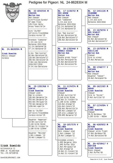 28304-24 - Achizitii 2025