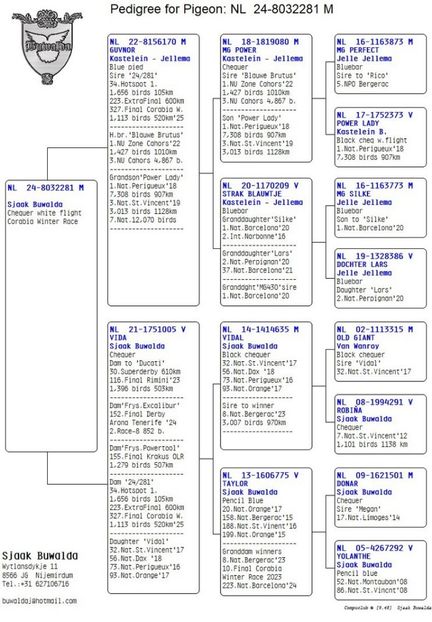 2281-24 - Achizitii 2025