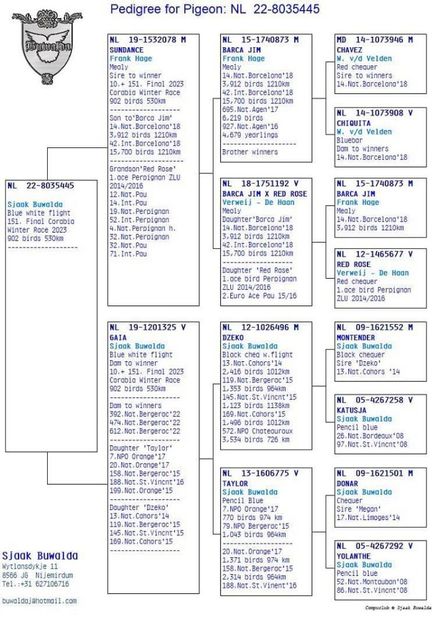 8035445-22 M Buwalda Mirel - Achizitii 2025