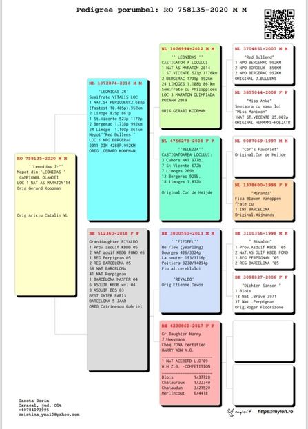 casota - Achizitii 2025