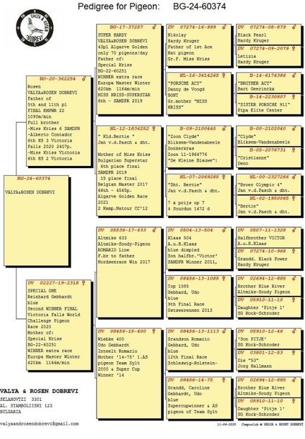 Dobrevi -374 - Achizitii 2025