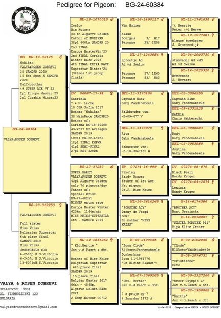 Dobrevi 384 - Achizitii 2025