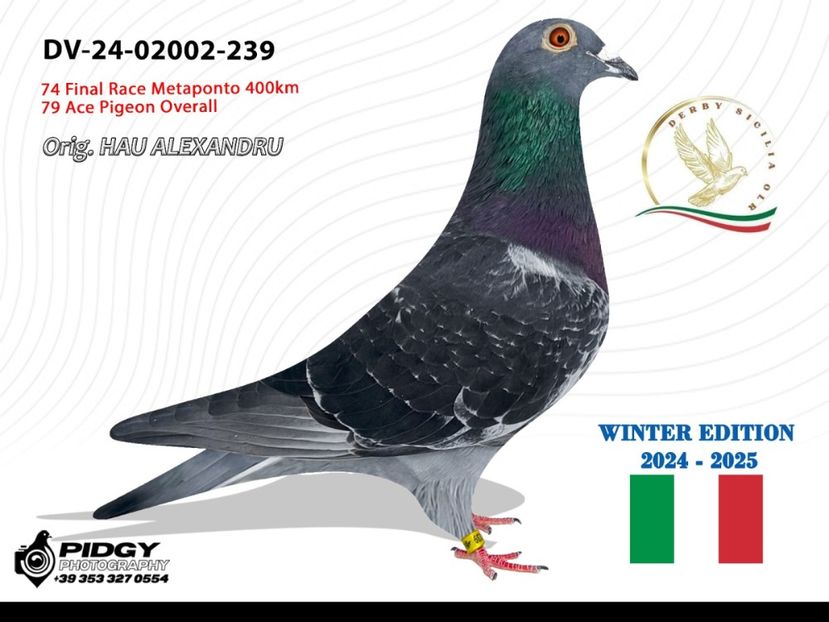 badin vasile - Achizitii 2025