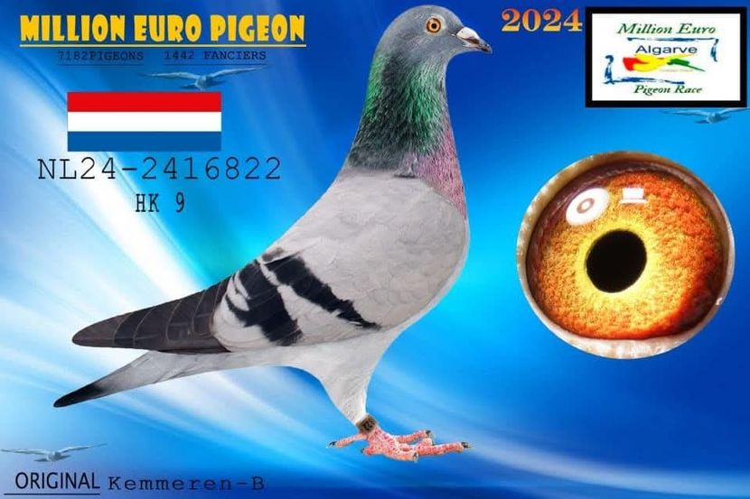 PIUH1454 - Achizitii 2025