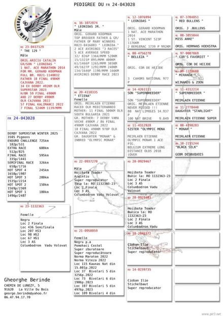 koopman ariciuu - Achizitii 2025