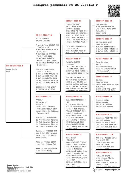 2057413-25 - Achizitii 2025