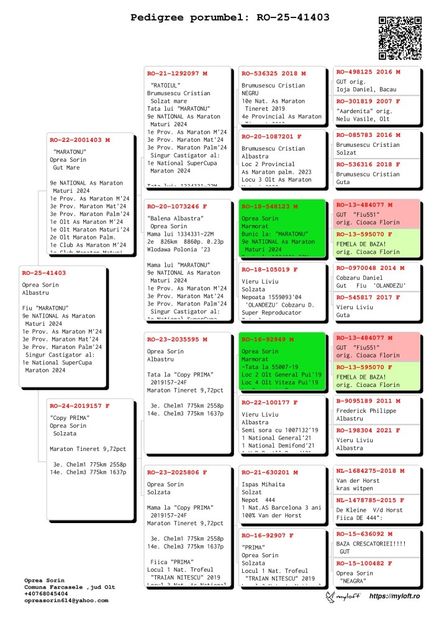 41403-25 - Achizitii 2025