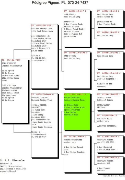 POLONIIA 34 AS - Achizitii 2025
