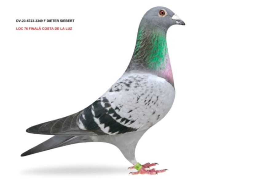 JONJ3090 - Achizitii 2025