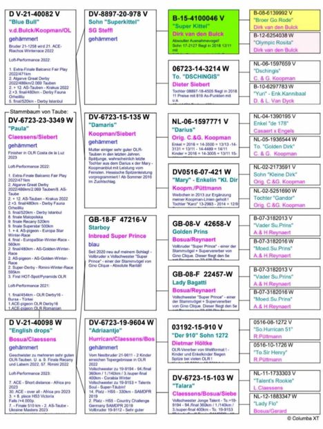 HZYQ0856 - Achizitii 2025