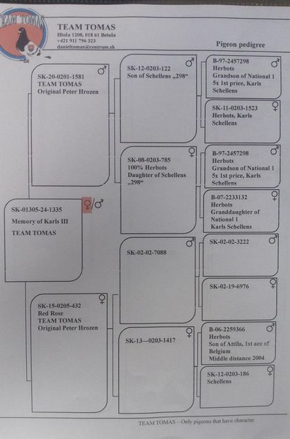 team tomass - Achizitii 2025