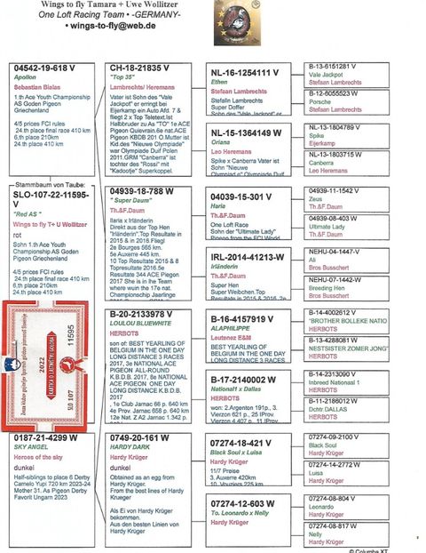 UWE - Achizitii 2025