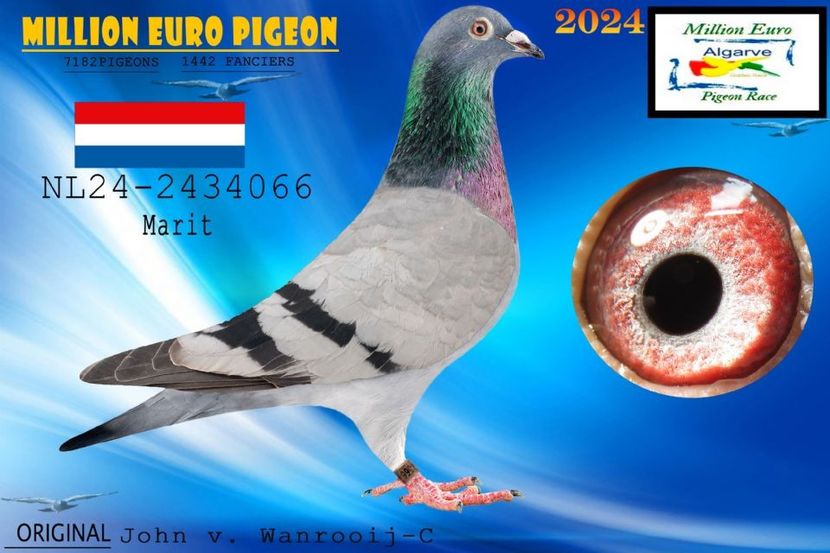 ARIQ2834 - Achizitii 2025