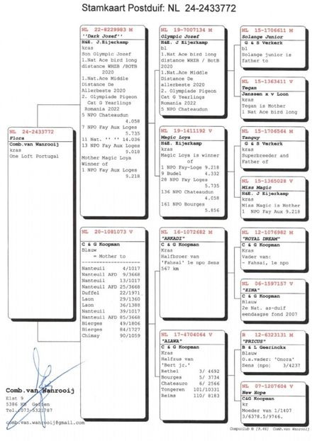 2433772-24. - Achizitii 2025