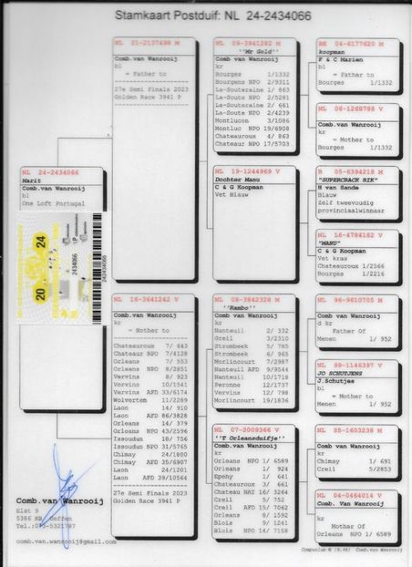 2434066-24. - Achizitii 2025
