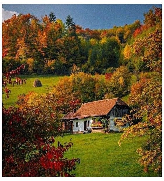 ♡ Oᥴtobᥱr 8 » - Tomnatic și nostalgic