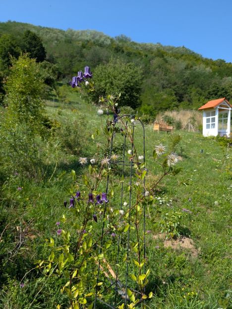 PXL_20250808_080751346 - Rooguchi 3