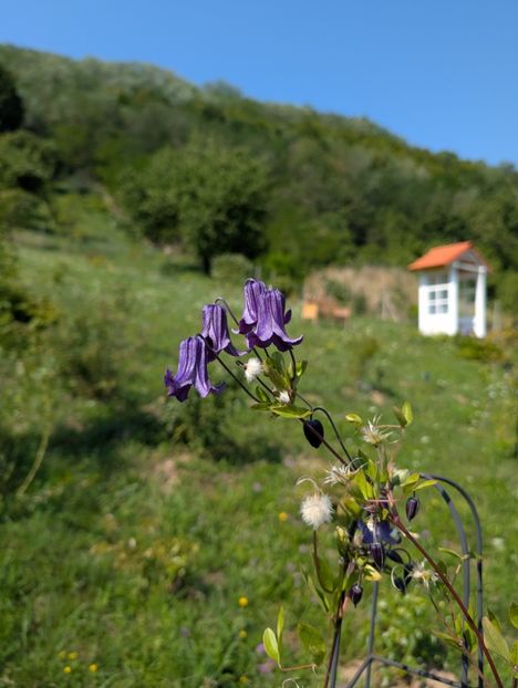 PXL_20250808_080819077.LONG_EXPOSURE-02.ORIGINAL - Rooguchi 3