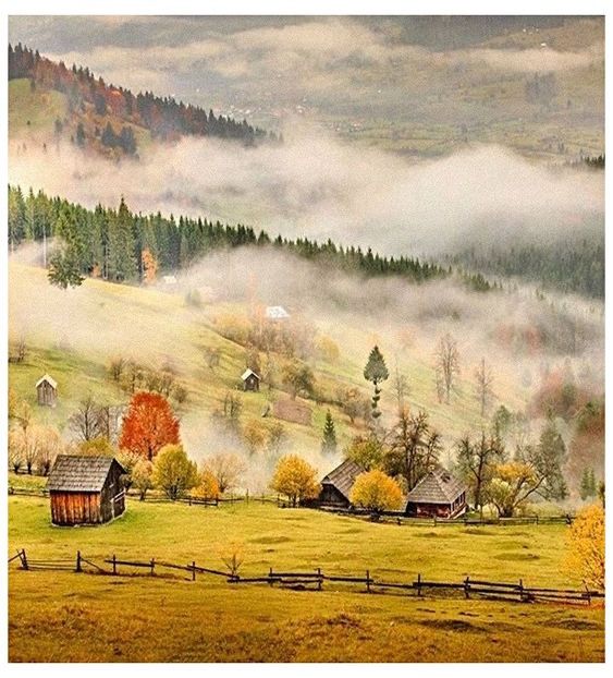  - Tomnatic și nostalgic