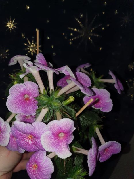 Messenger_creation_45641D8D-EF4B-4A12-BAE0-B897C87B363B - Charles Martel