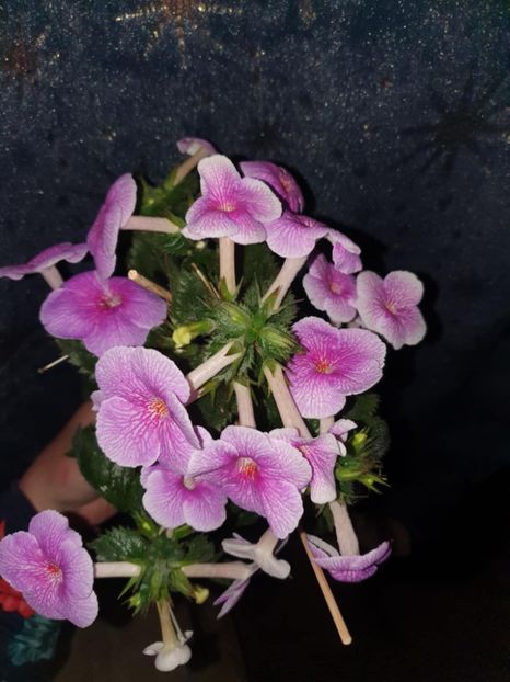 Messenger_creation_8BBBE8C9-7A8A-4139-8263-CA6CF0B4D413 - Charles Martel