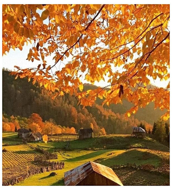 - Tomnatic și nostalgic