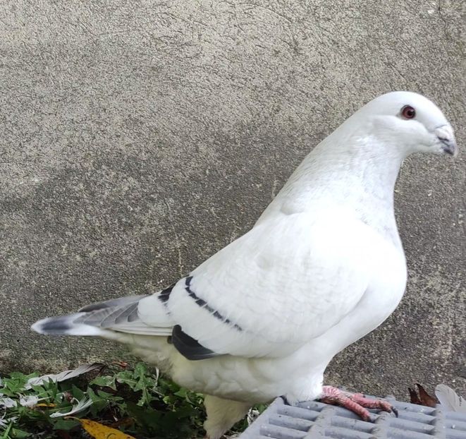 7 (M.) ARCHIWUM - c- MLODE 2025 YOUTH