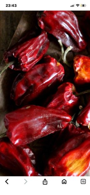  - SEMINTE ARDEI - A 91 RACI OLTENESTI