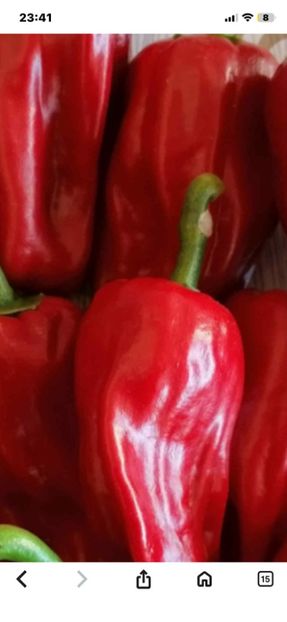  - SEMINTE ARDEI - A 91 RACI OLTENESTI