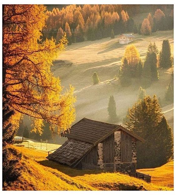 - Tomnatic și nostalgic