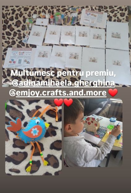 Premiu instagram - Premii castigate la concursurile online