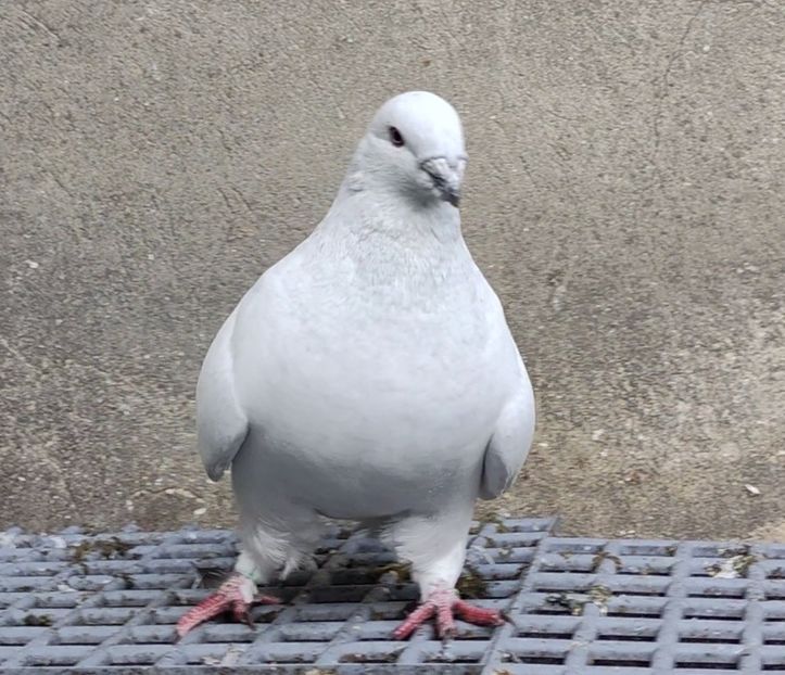 16 - c- MLODE 2025 YOUTH