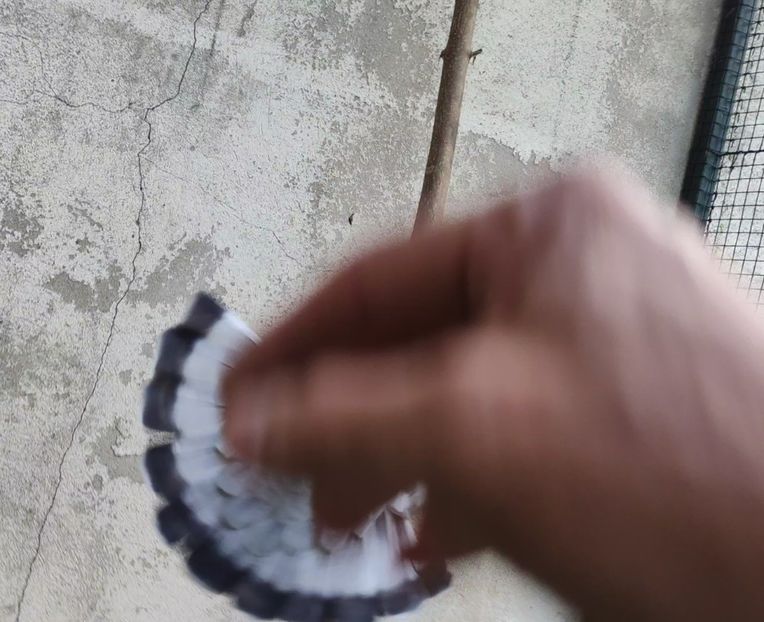  - 2- AKTUALNE -of the moment