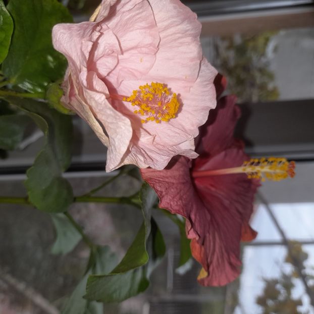 16.10.2025 - HD 0372