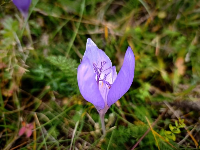  - Toamna în octombrie