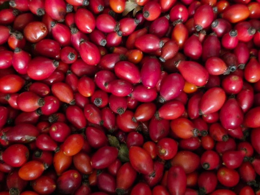  - Toamna în octombrie