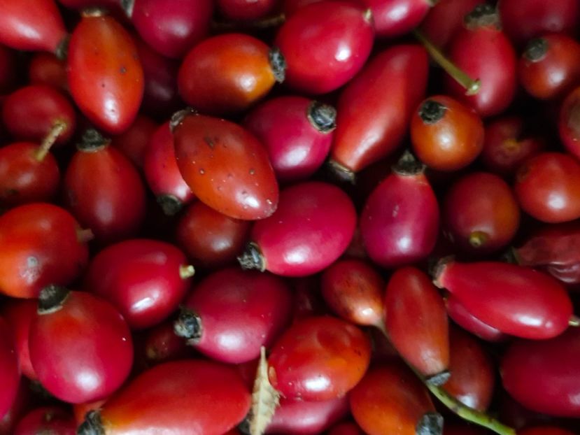  - Toamna în octombrie