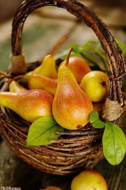  - Toamna în octombrie