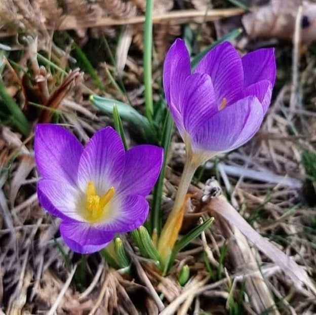  - Toamna în octombrie