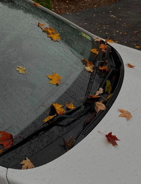  - Toamna în octombrie